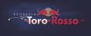 Vai al sito ufficiale del Team Toro Rosso